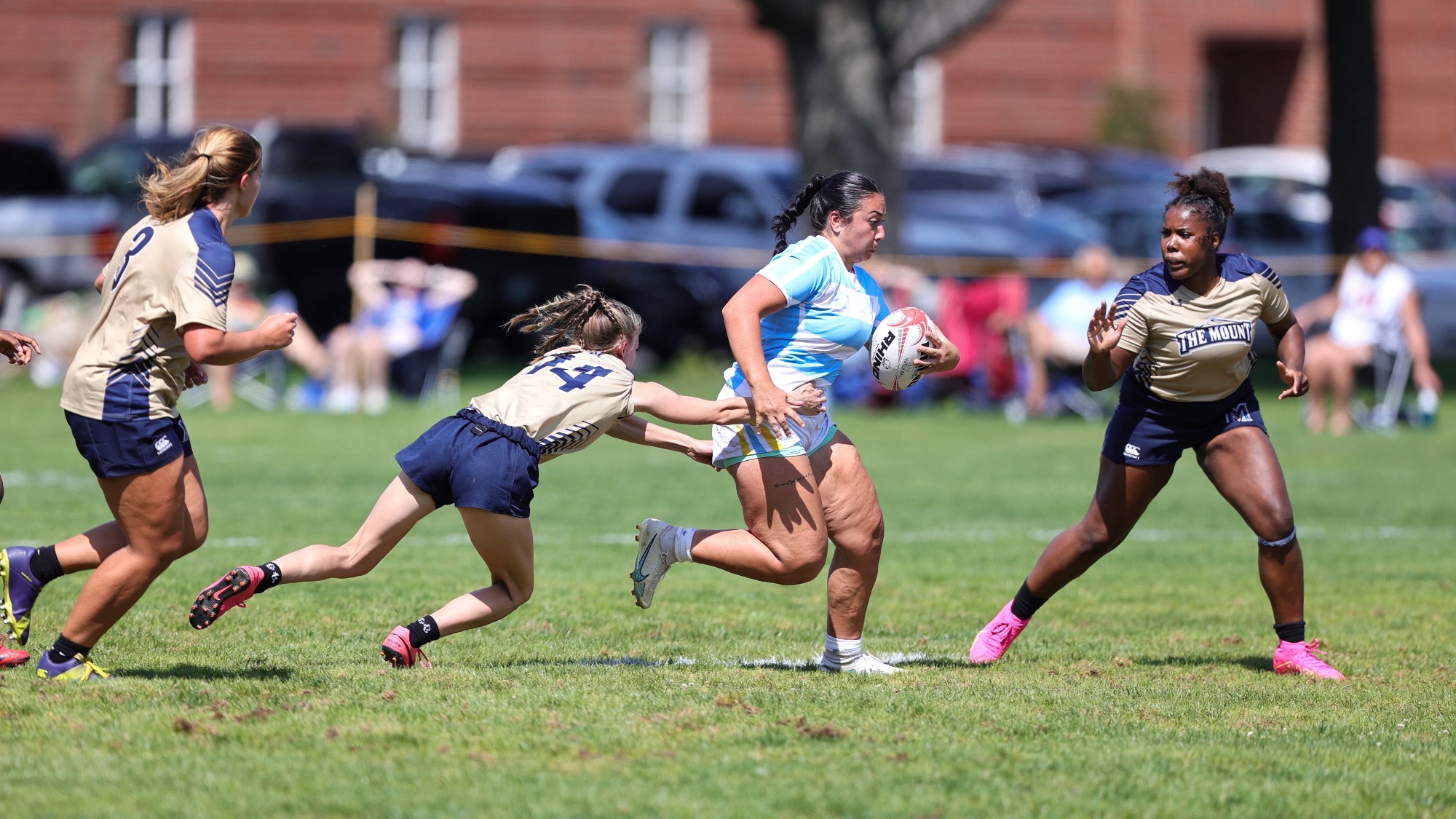 Long Island University Athletics