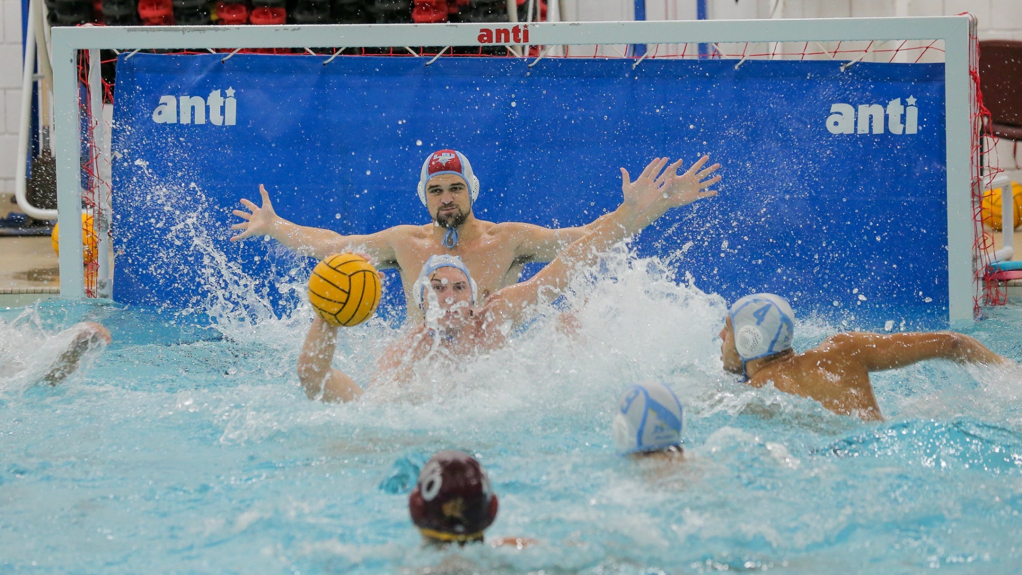 Long Island University Athletics