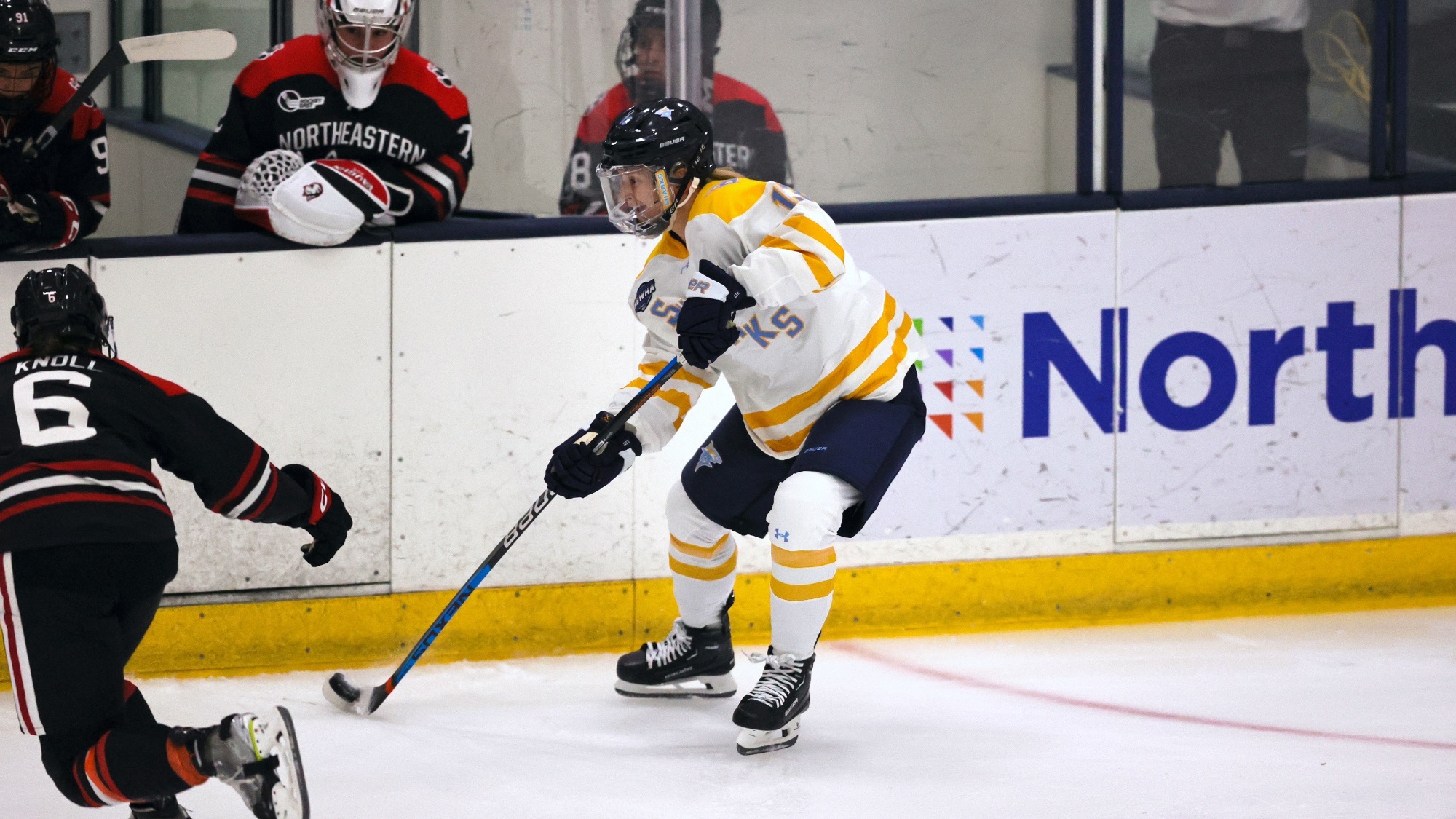 Long Island University Athletics