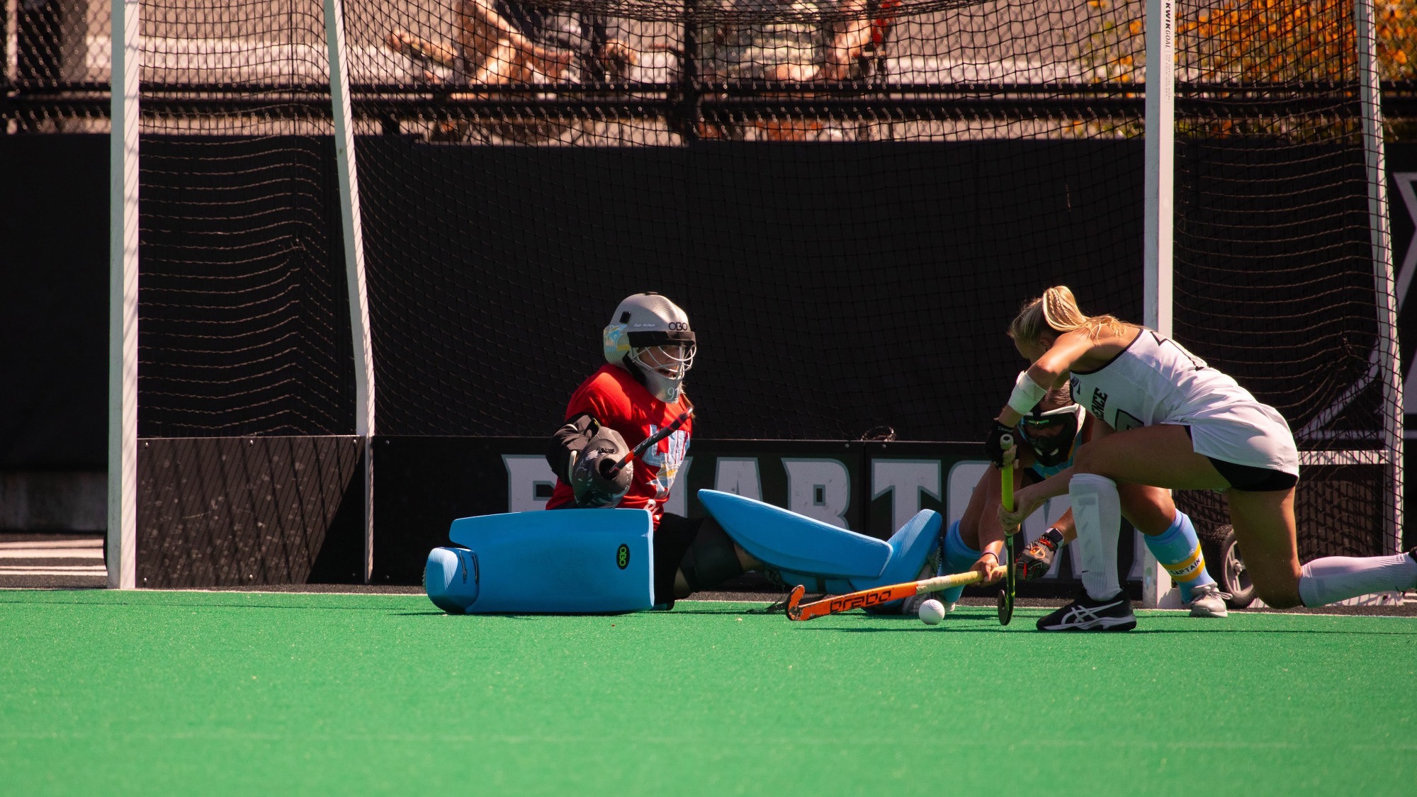 Long Island University Athletics