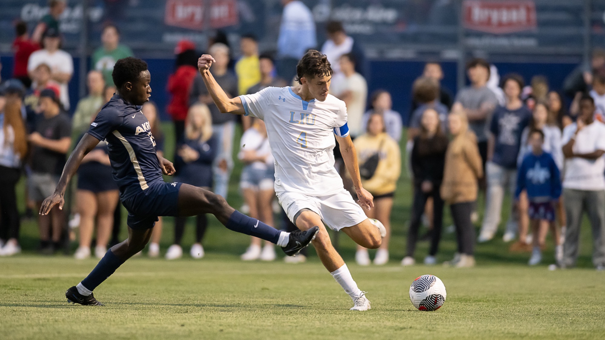 Long Island University Athletics