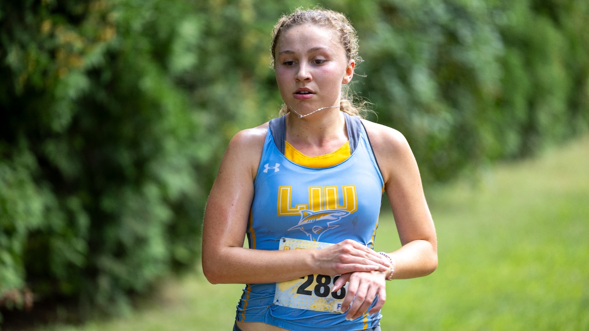 Long Island University Athletics