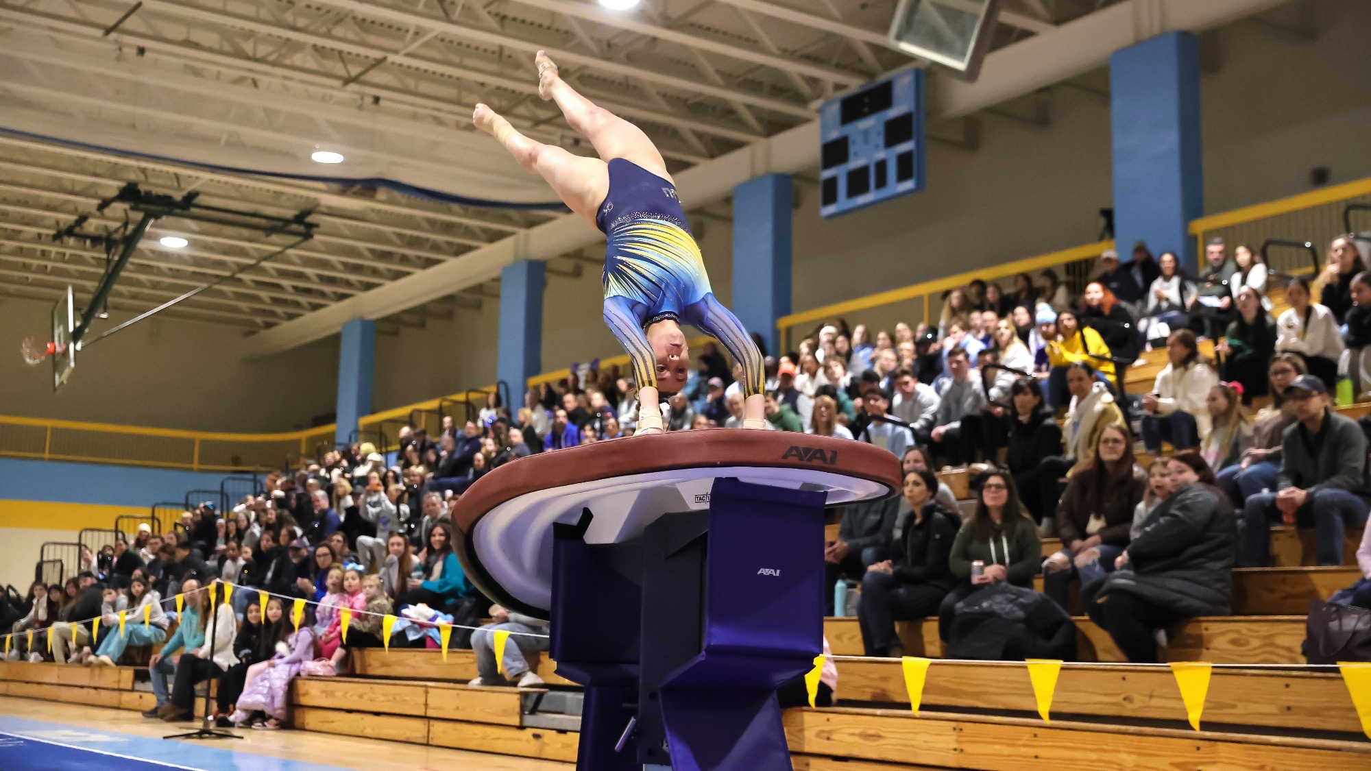 Long Island University Athletics