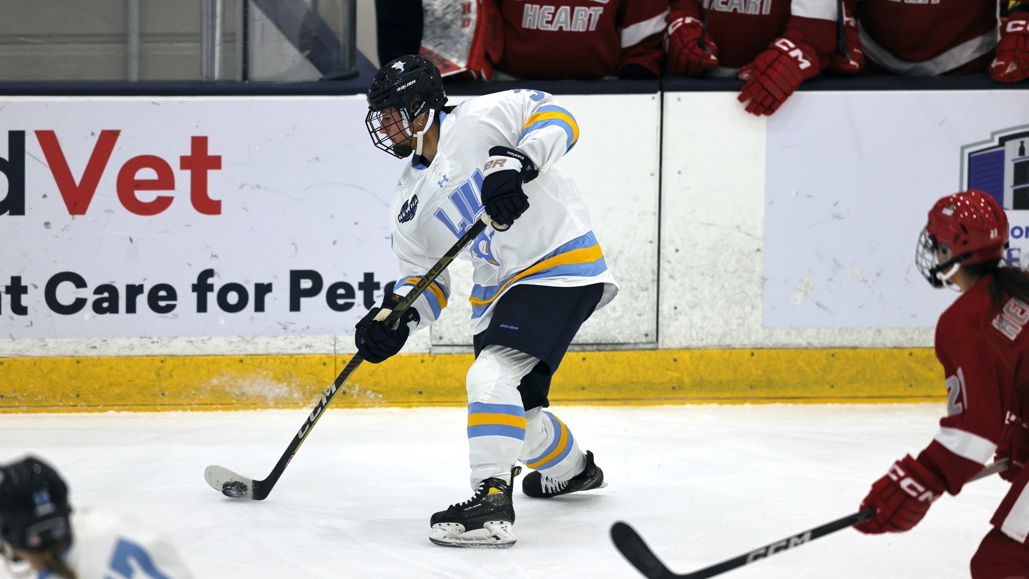 Long Island University Athletics