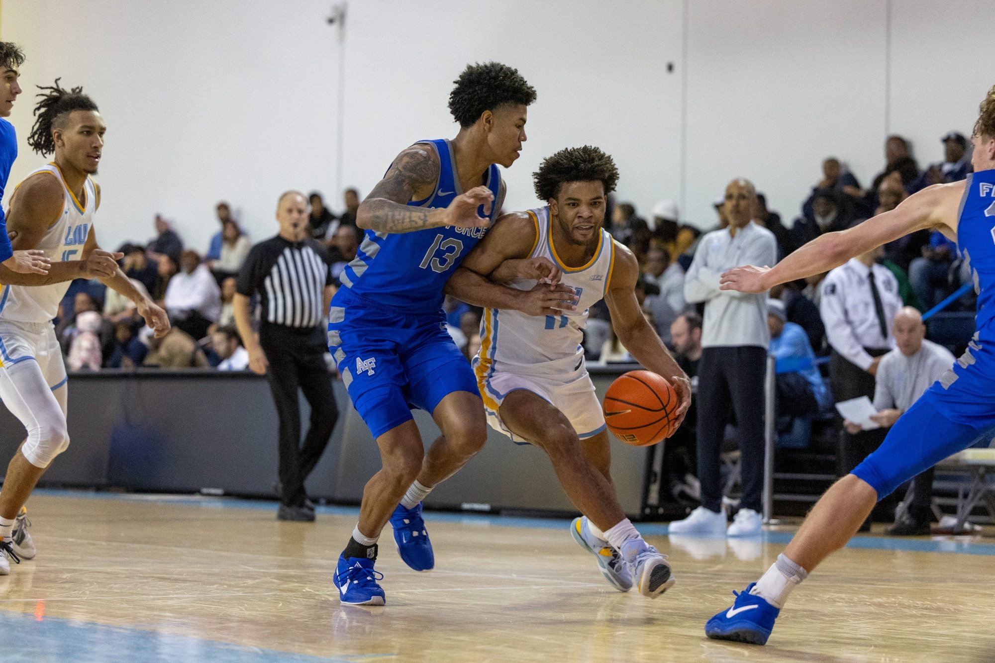 Long Island University Athletics