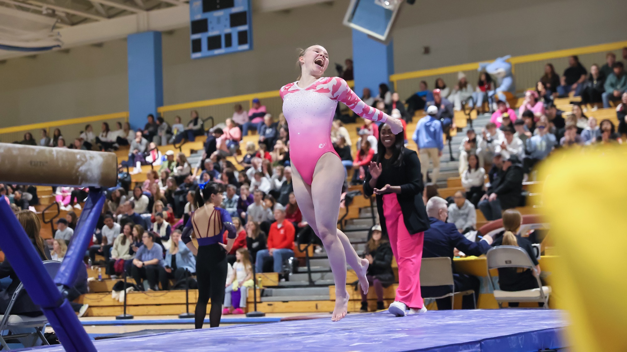 Long Island University Athletics