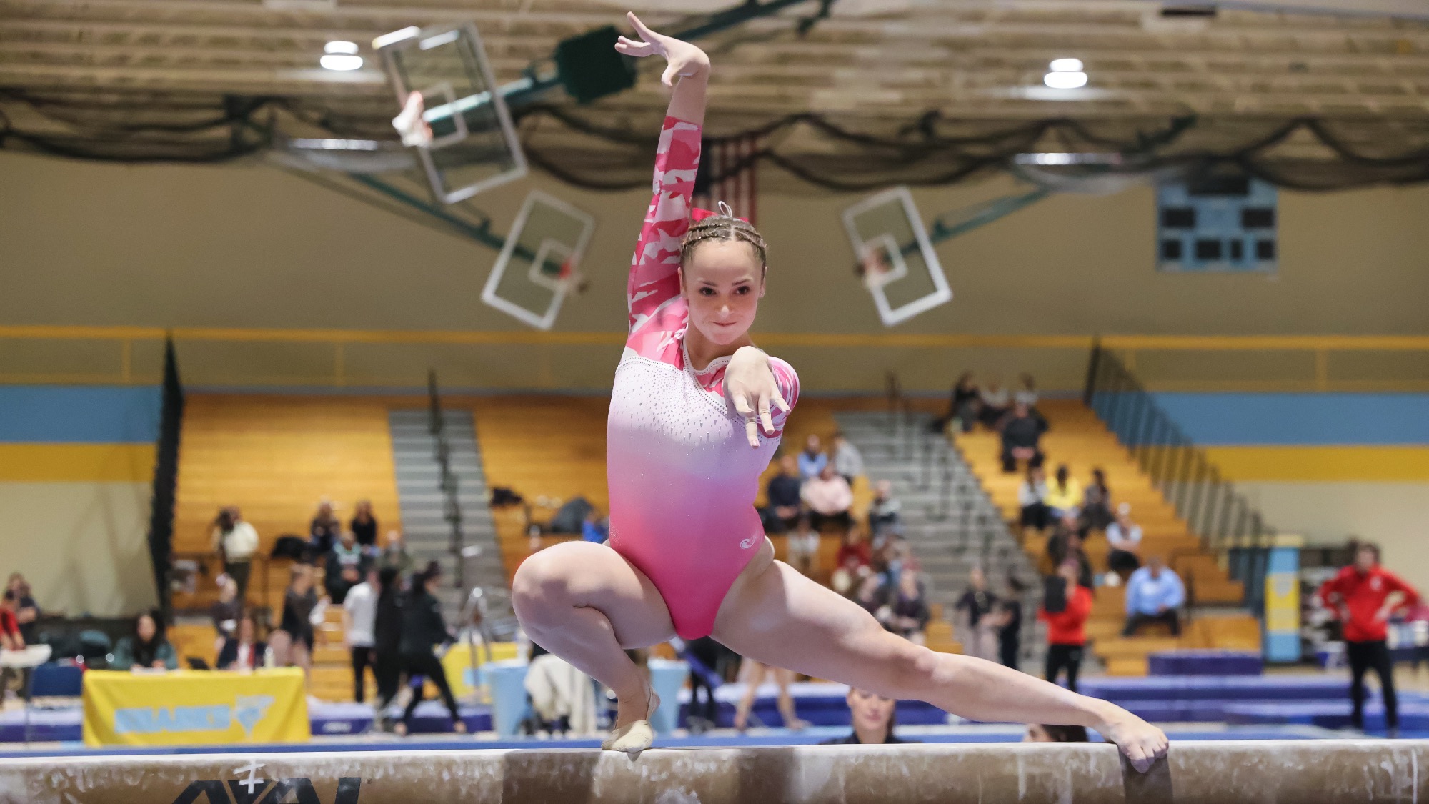 Long Island University Athletics