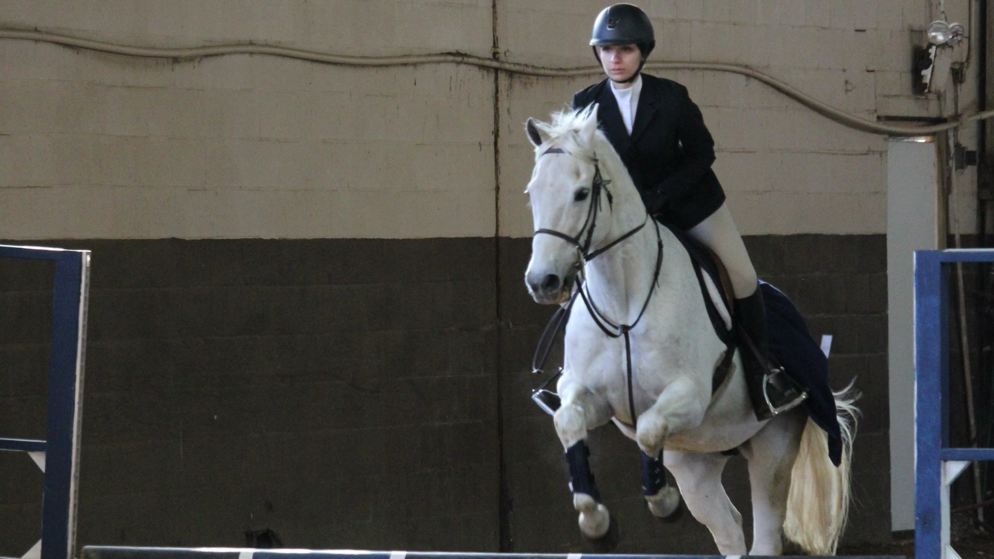 Equestrian Spring Opener 2024