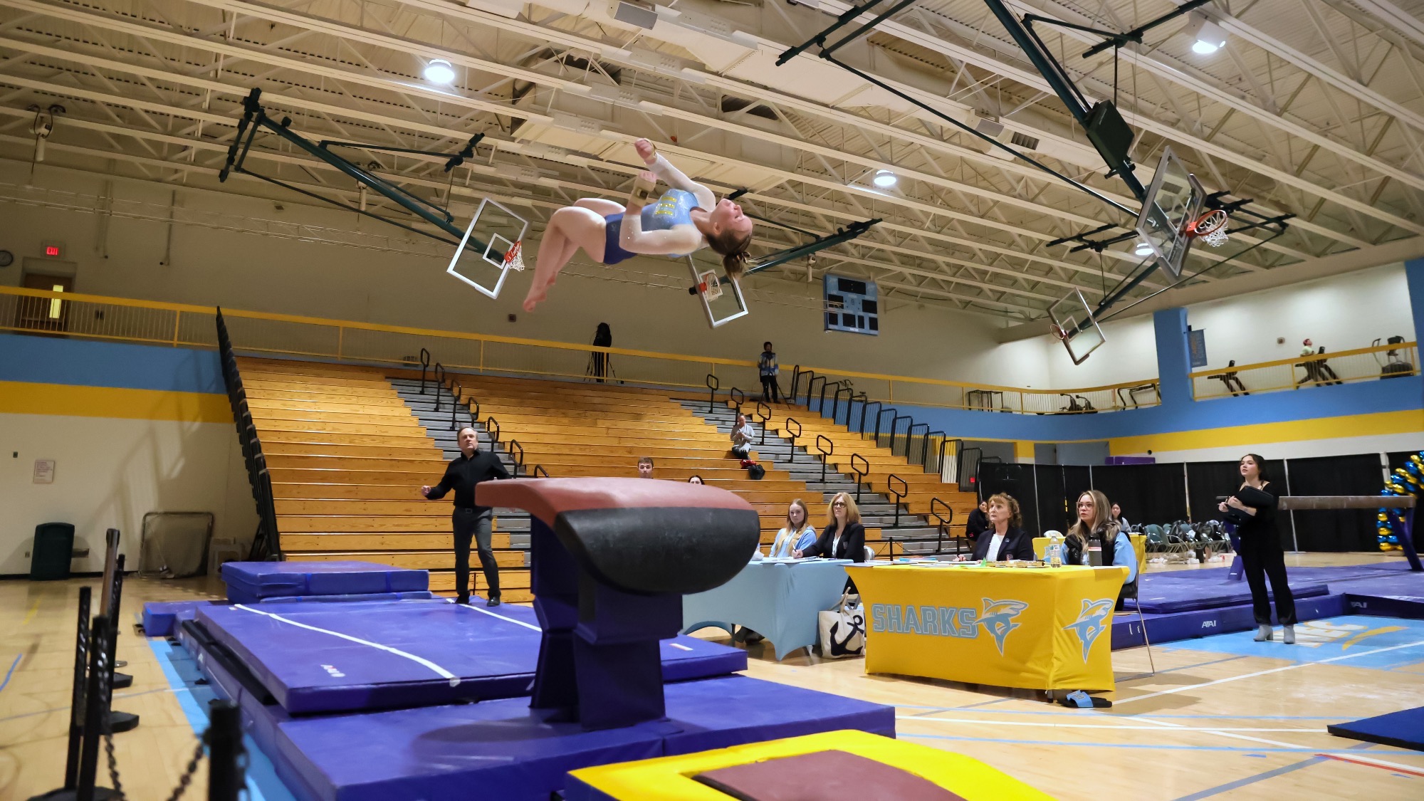 Long Island University Athletics