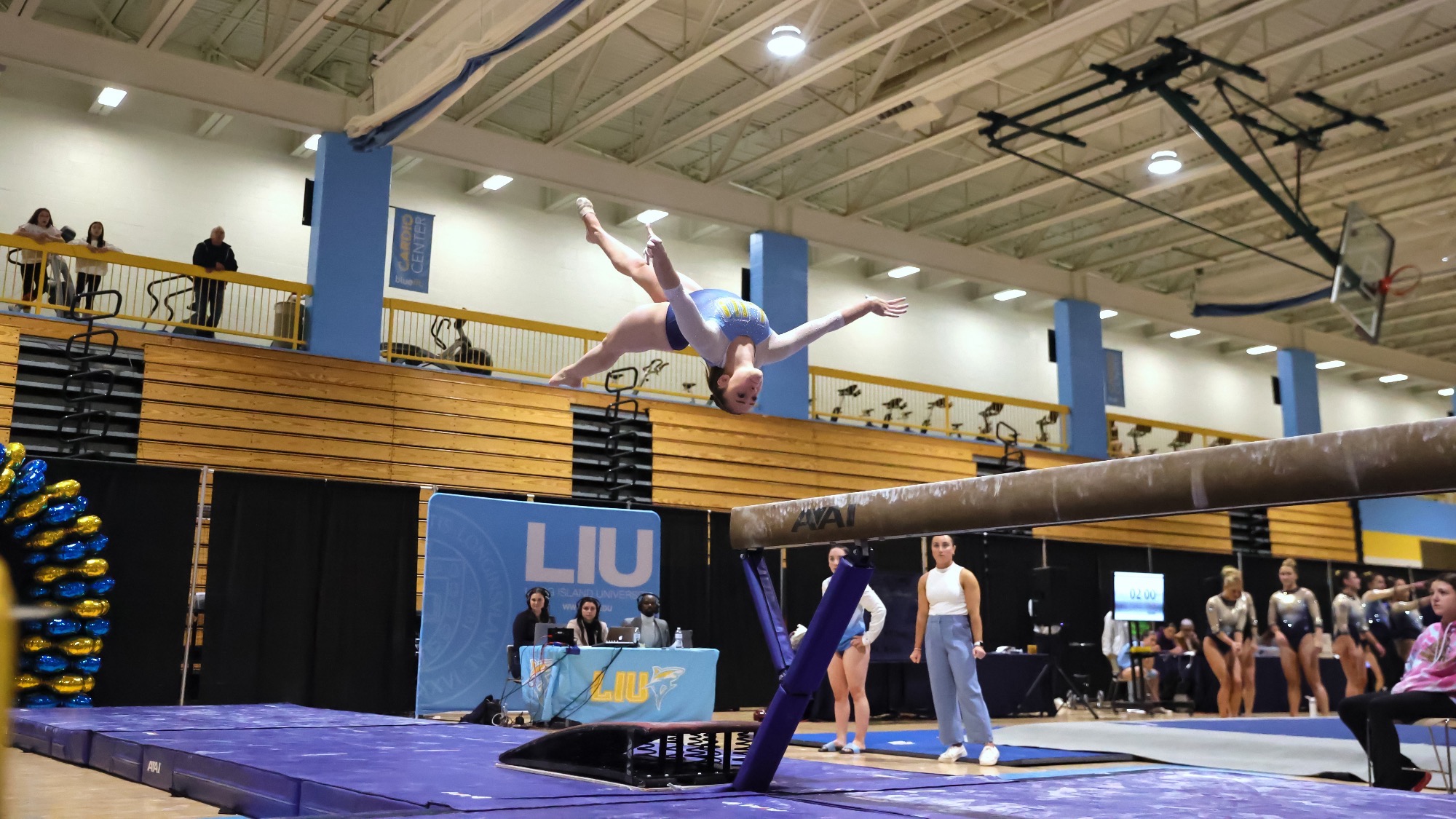 Long Island University Athletics