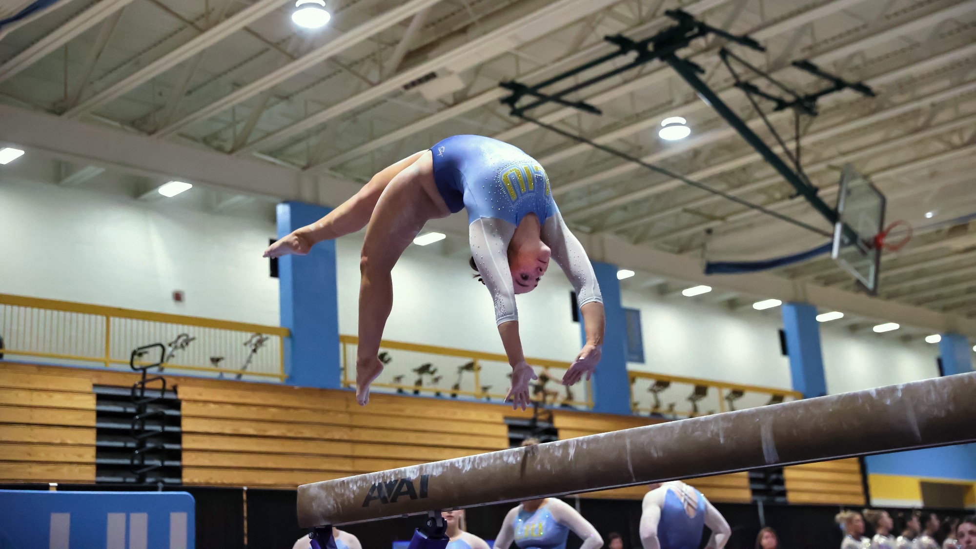 Long Island University Athletics