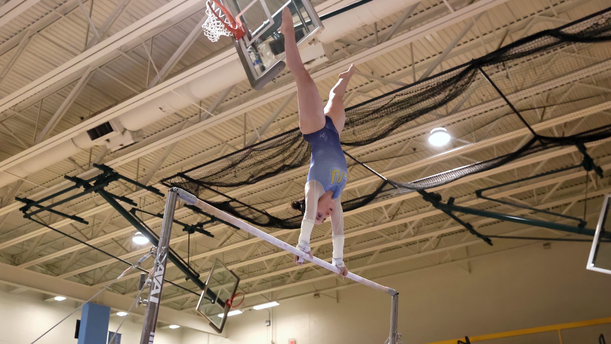 Long Island University Athletics