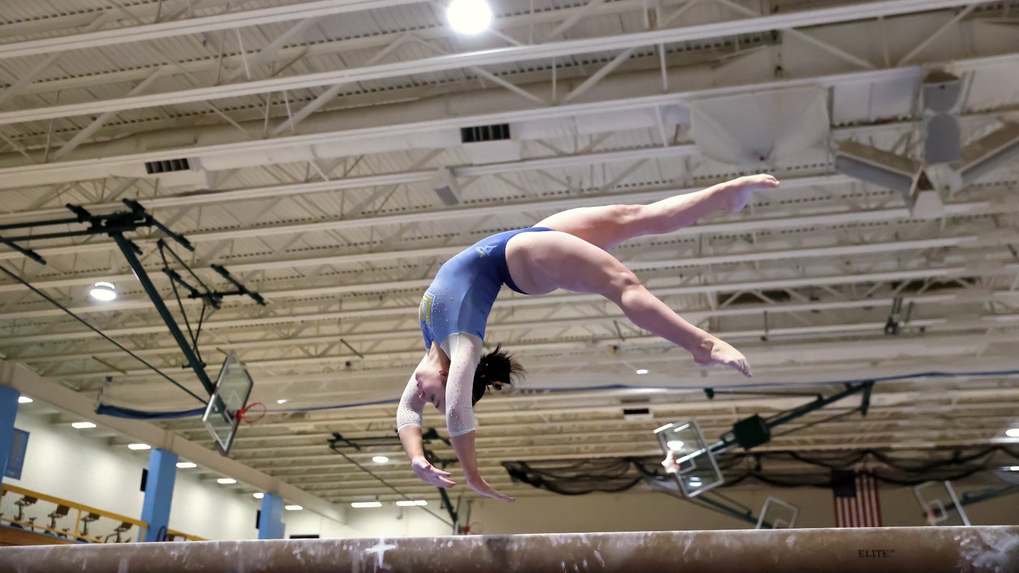 Long Island University Athletics