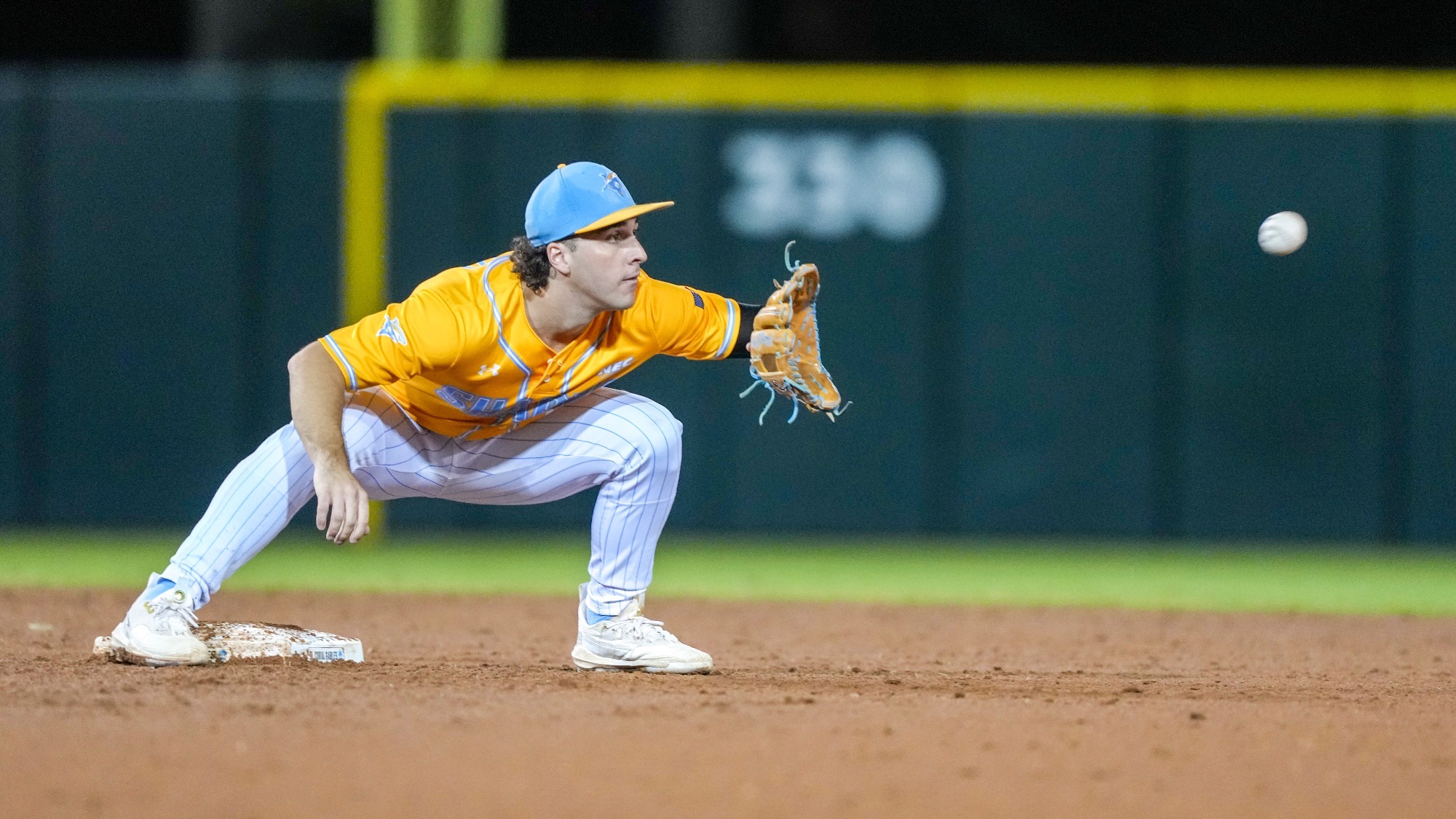 Long Island University Athletics