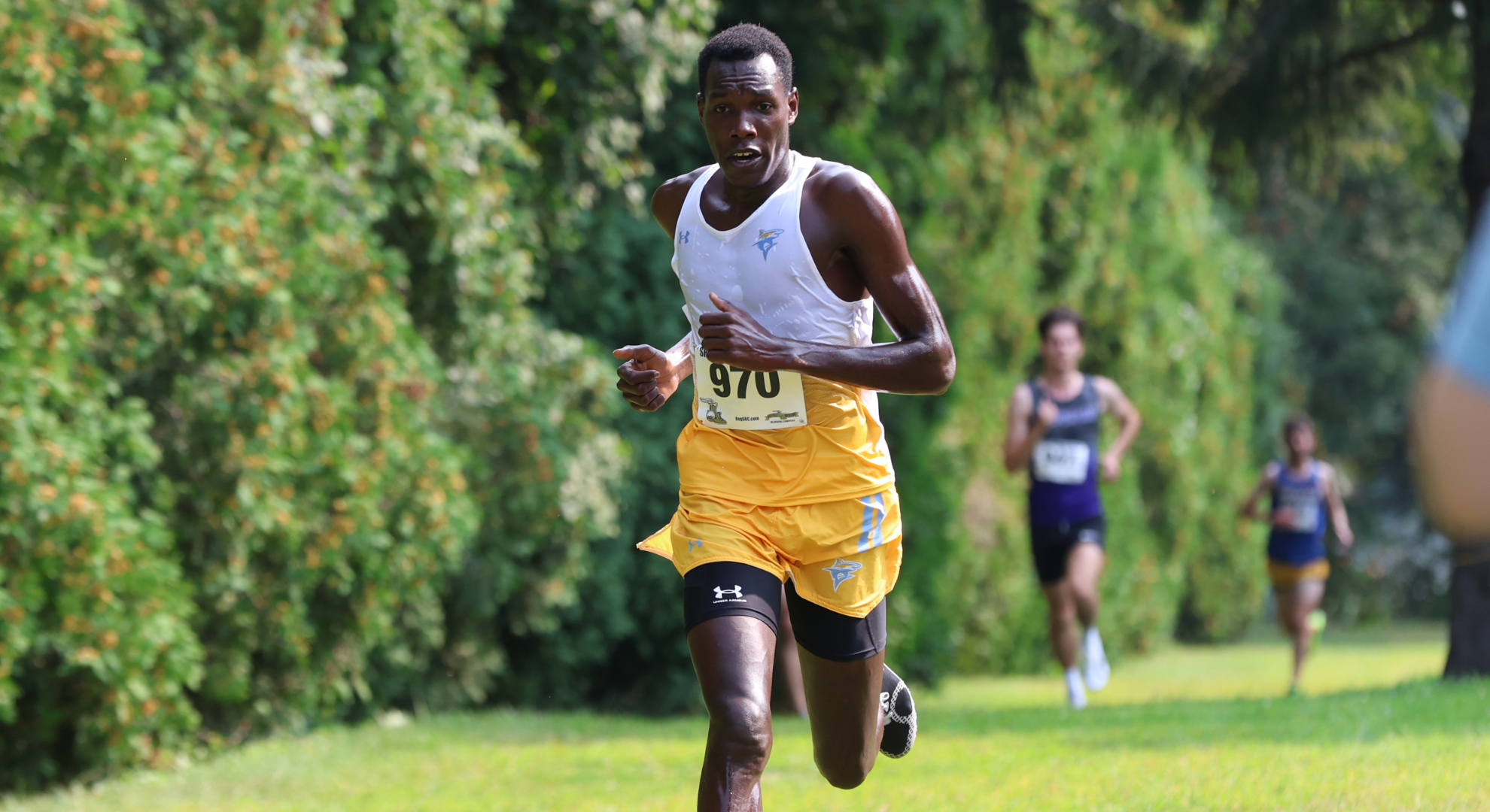 Brian Masai Men's Cross Country LIU Fall Festival 2025