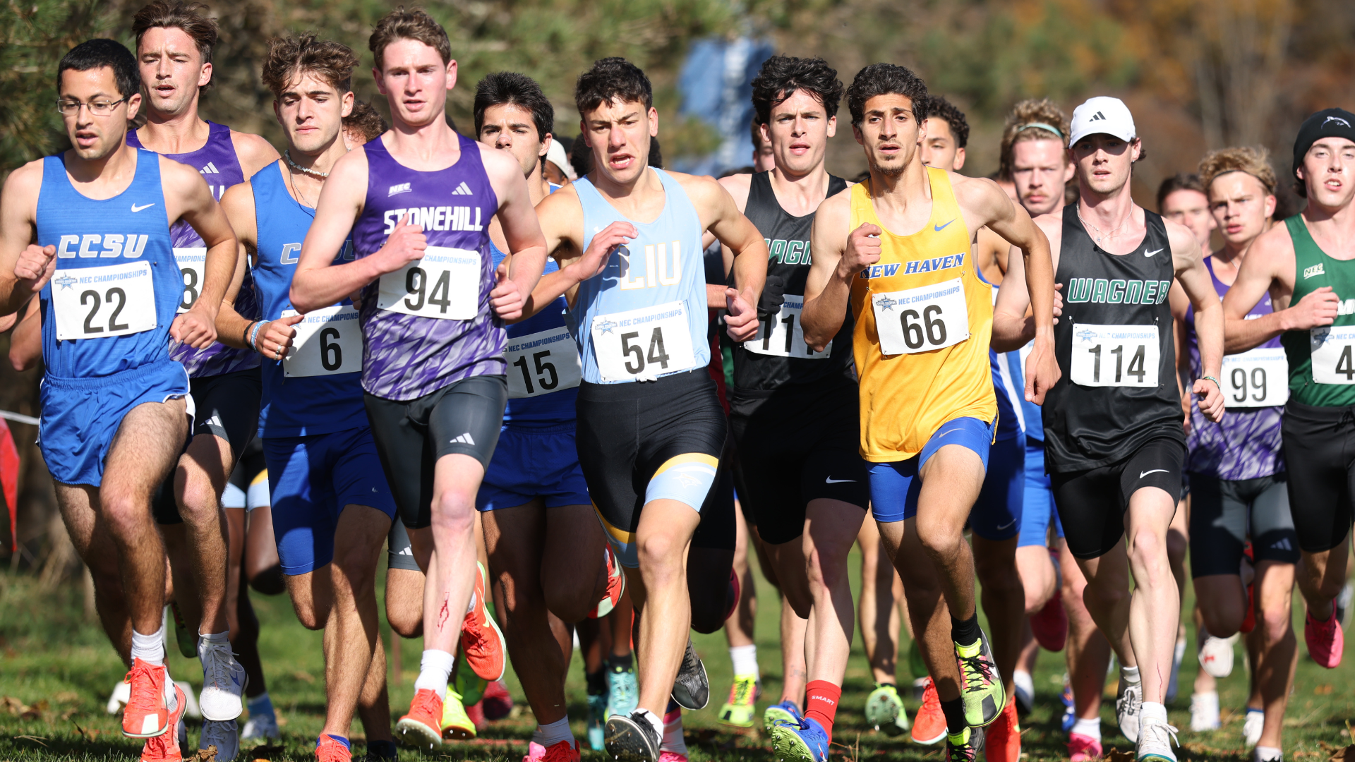 Men's Cross Country NEC Championship Nov. 1, 2025 Robby Levy