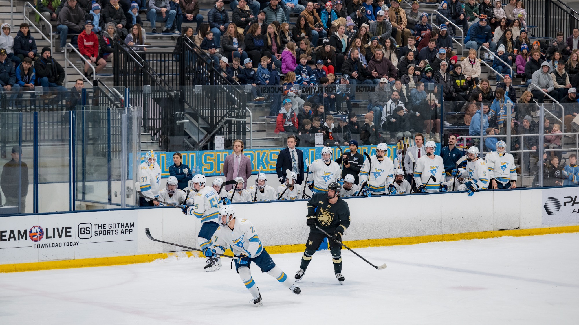 Men's Hockey vs Army West Point
