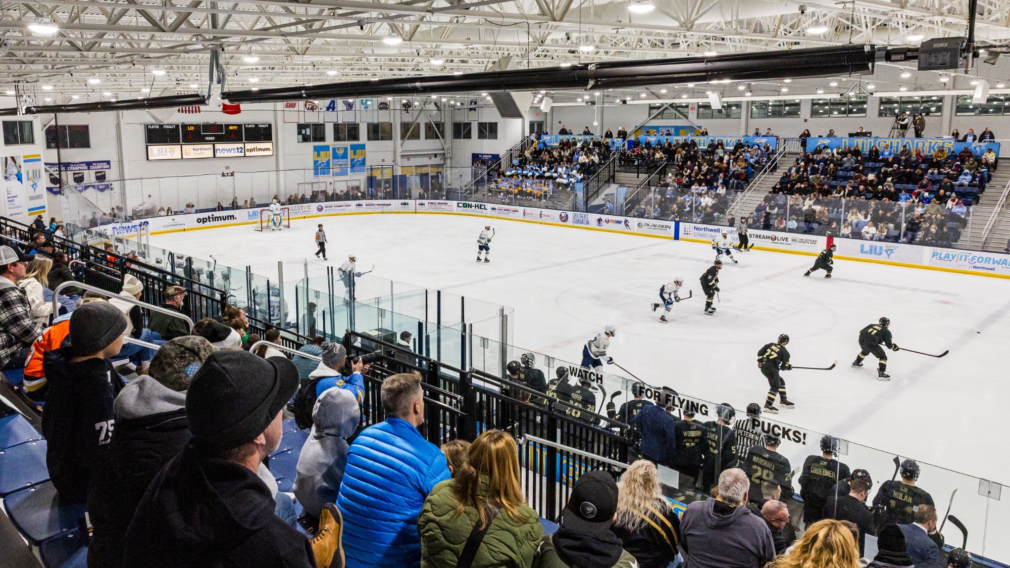 LIU Men's Hockey vs Army West Point