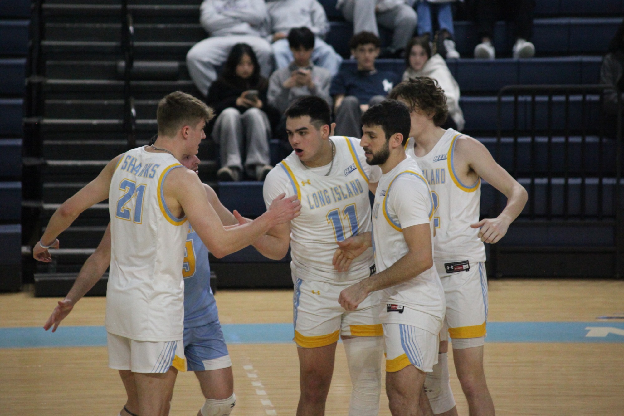 LIU MVB vs Daemen 3.28.25