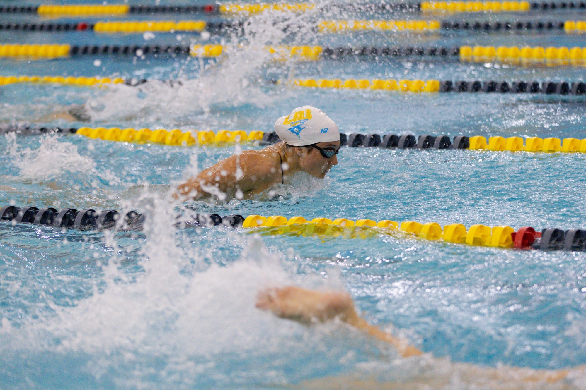 LIU Women's Swimming 01.16.26