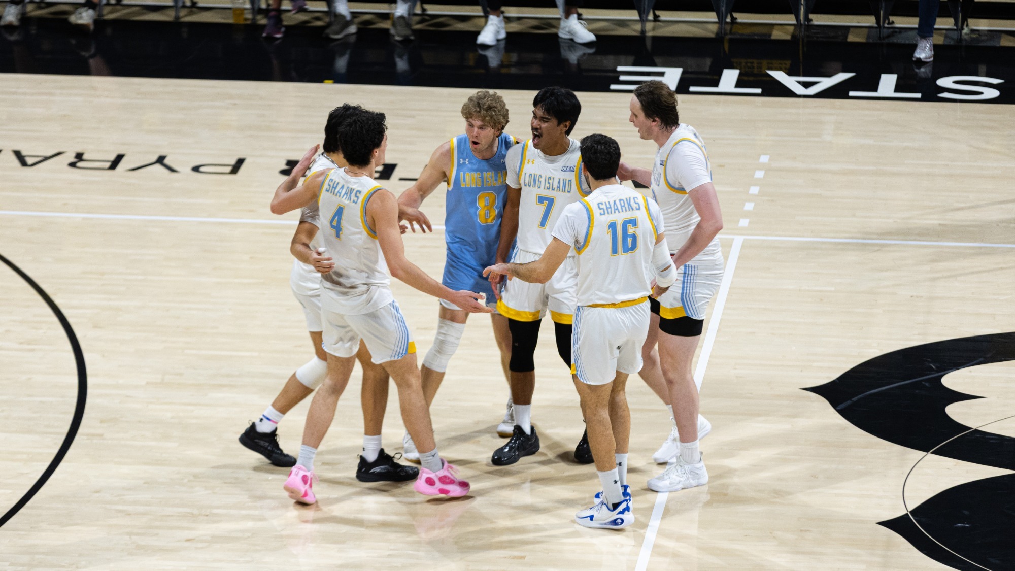 MVB Celebration 1.28