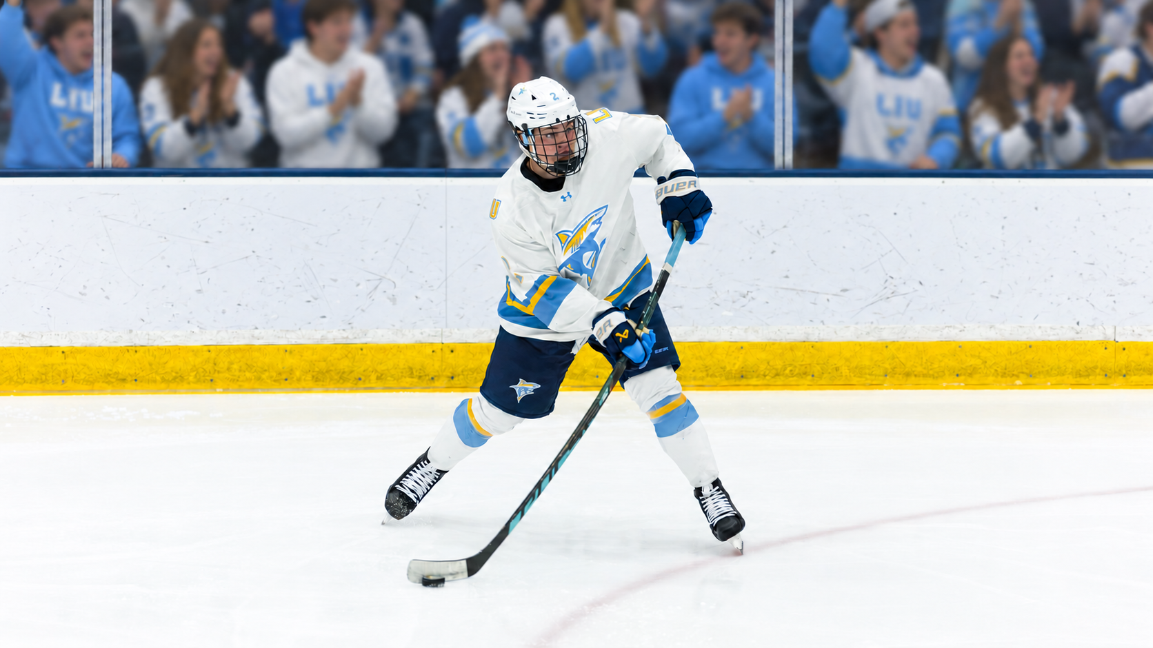 LIU Men's Hockey vs. USA National Team Development Program