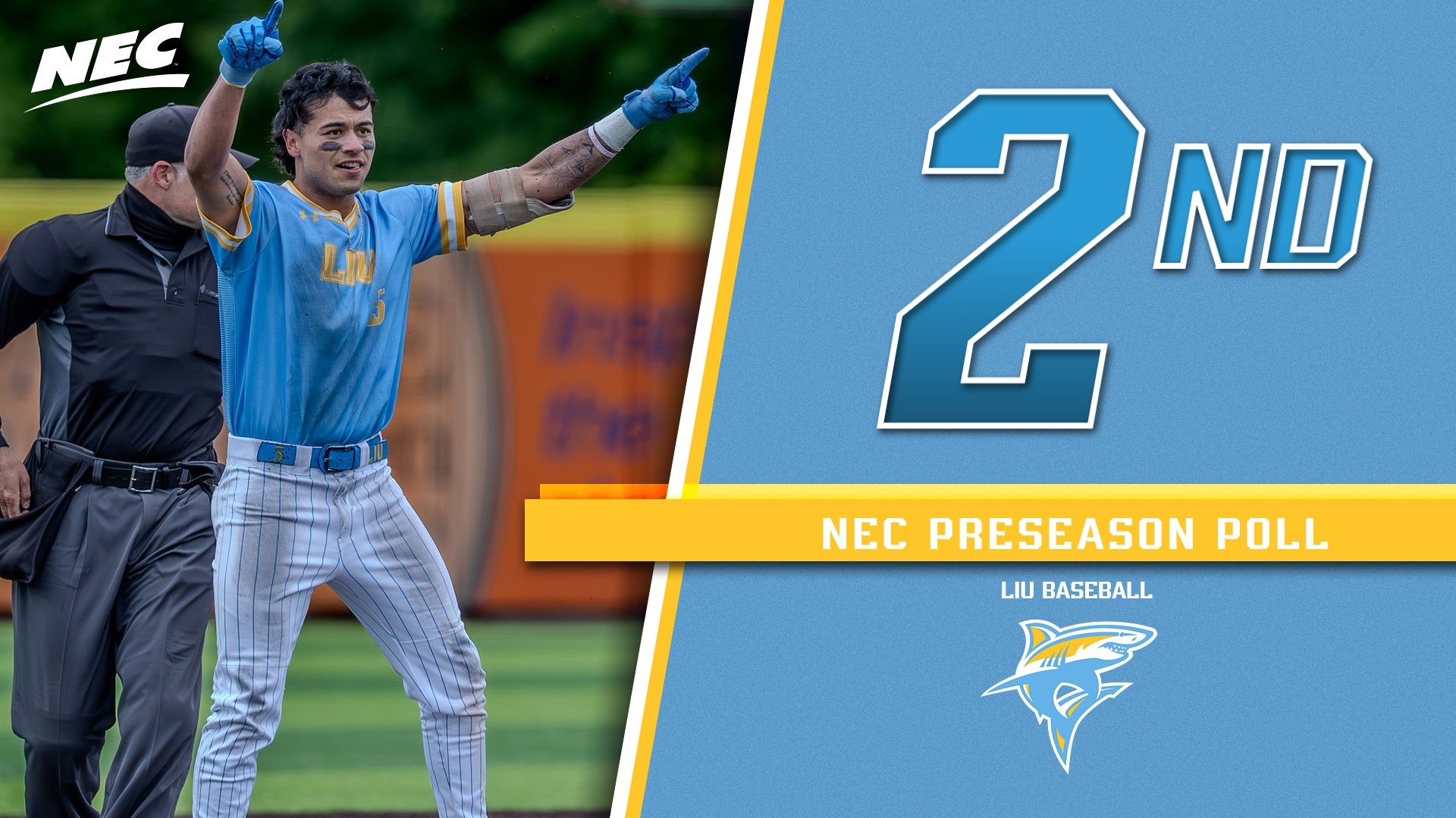 LIU Baseball NEC Preseason Poll 2026