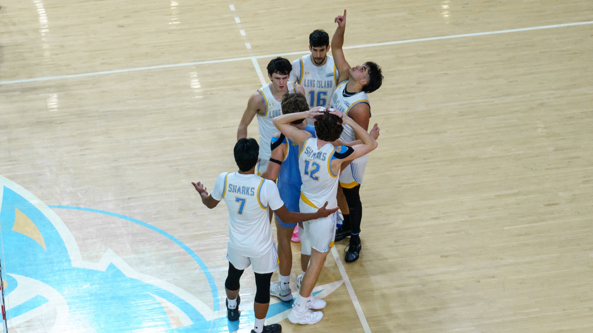 MVB celebration 2.20