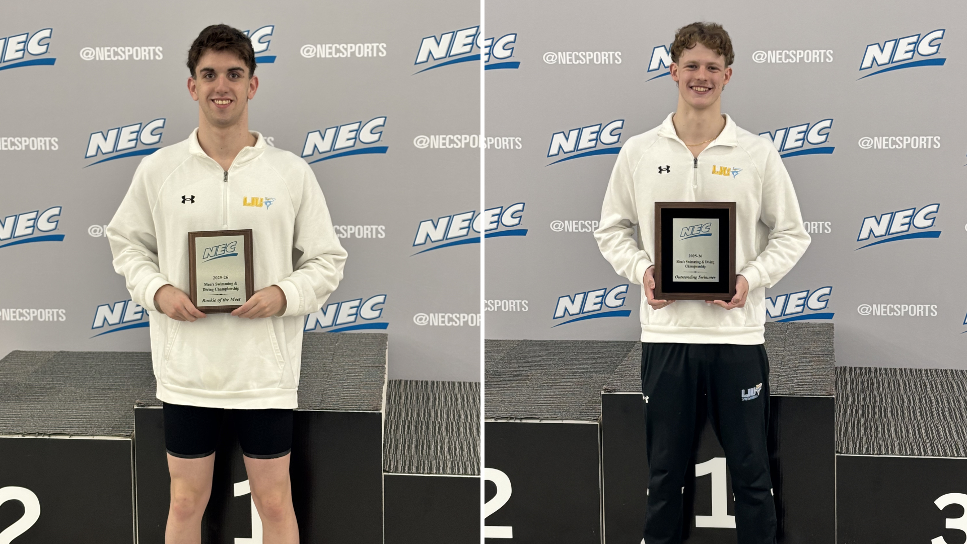 MSWIM-NEC Championships Award Winners