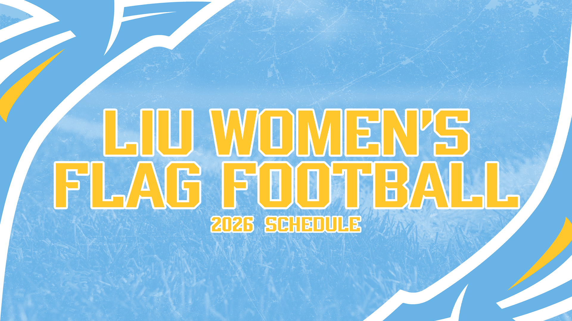 WFF Schedule Release Graphic