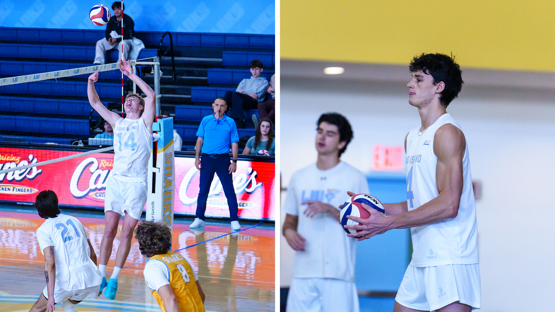 Holowecky Vernon Weekly Awards 3.30