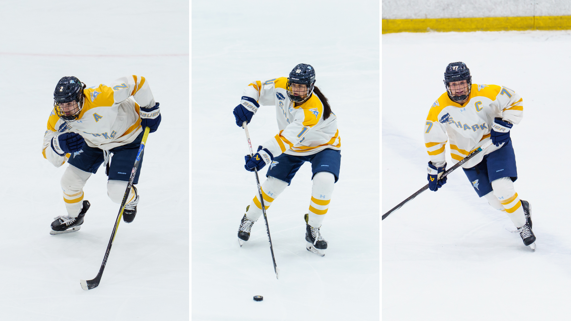 WHKY All-NEWHA 2025-6 Honors