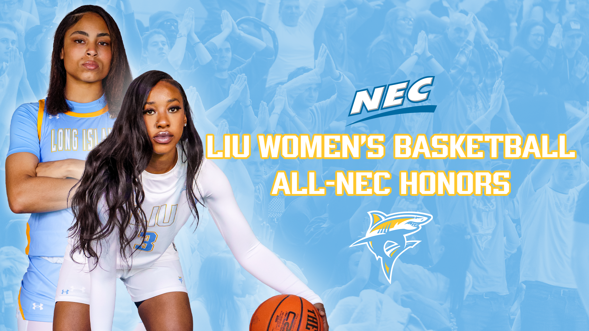 LIU WBB NEC Awards