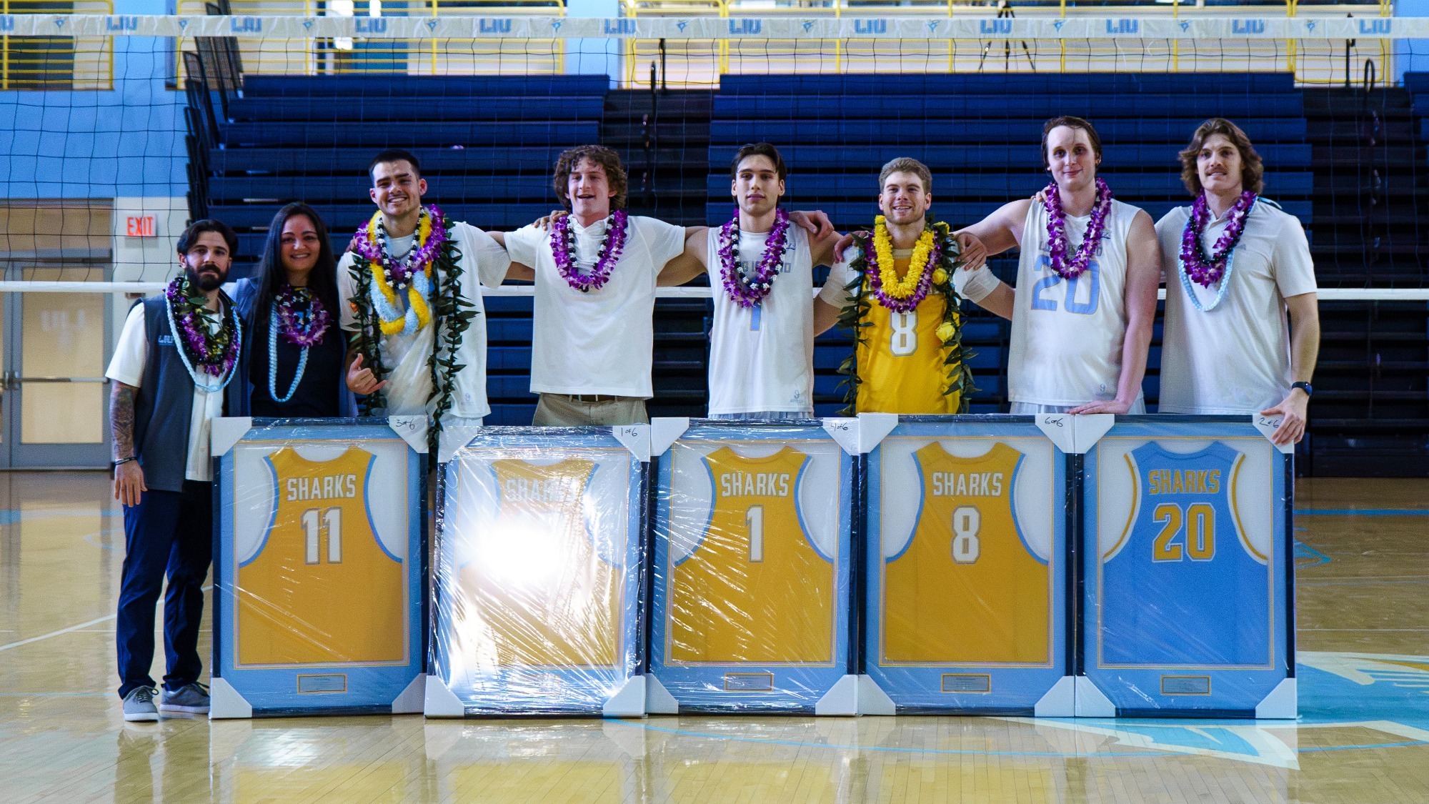 LIU MVB Seniors