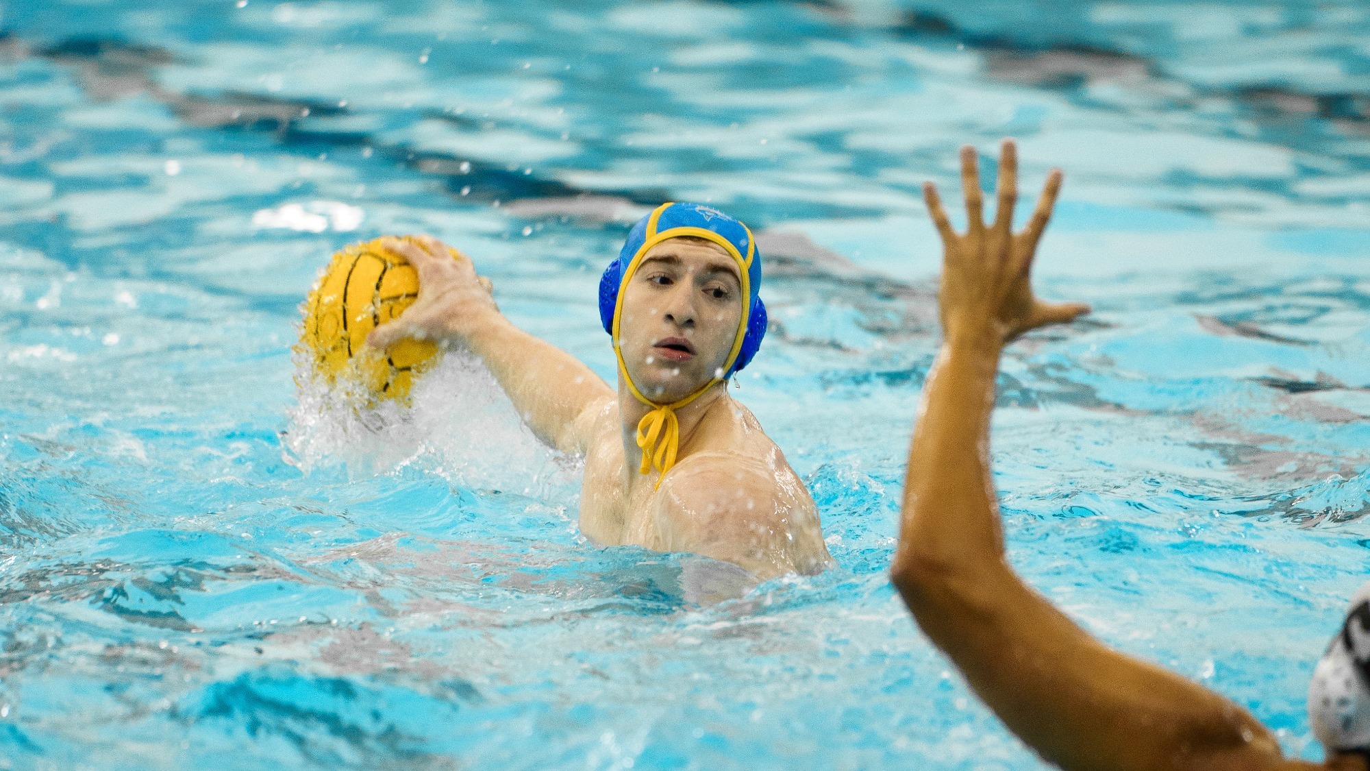 Mark Malamud MWP