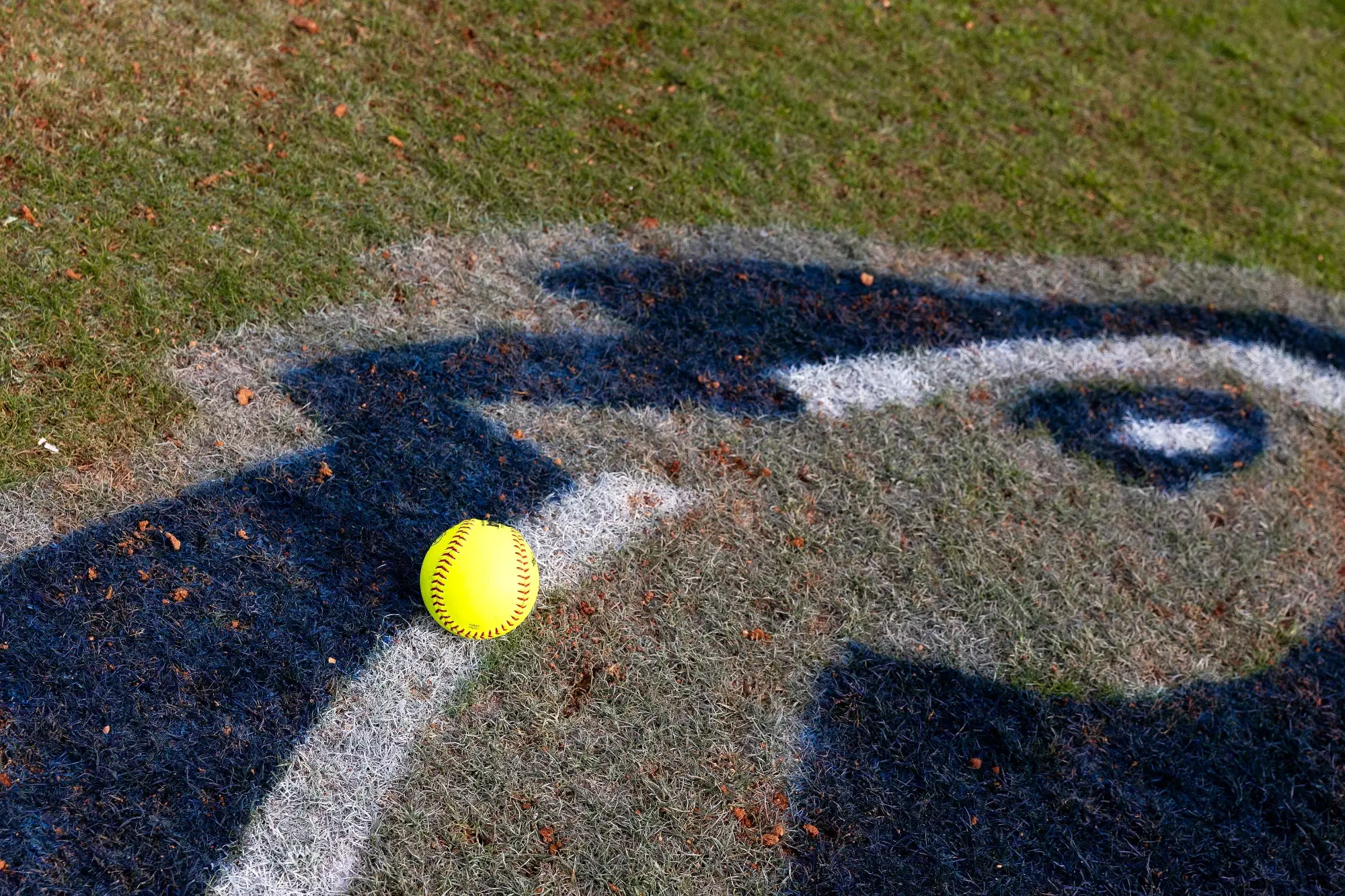 3/5/24 - Longwood Softball (Ryan M. Kelly/Apex Media)