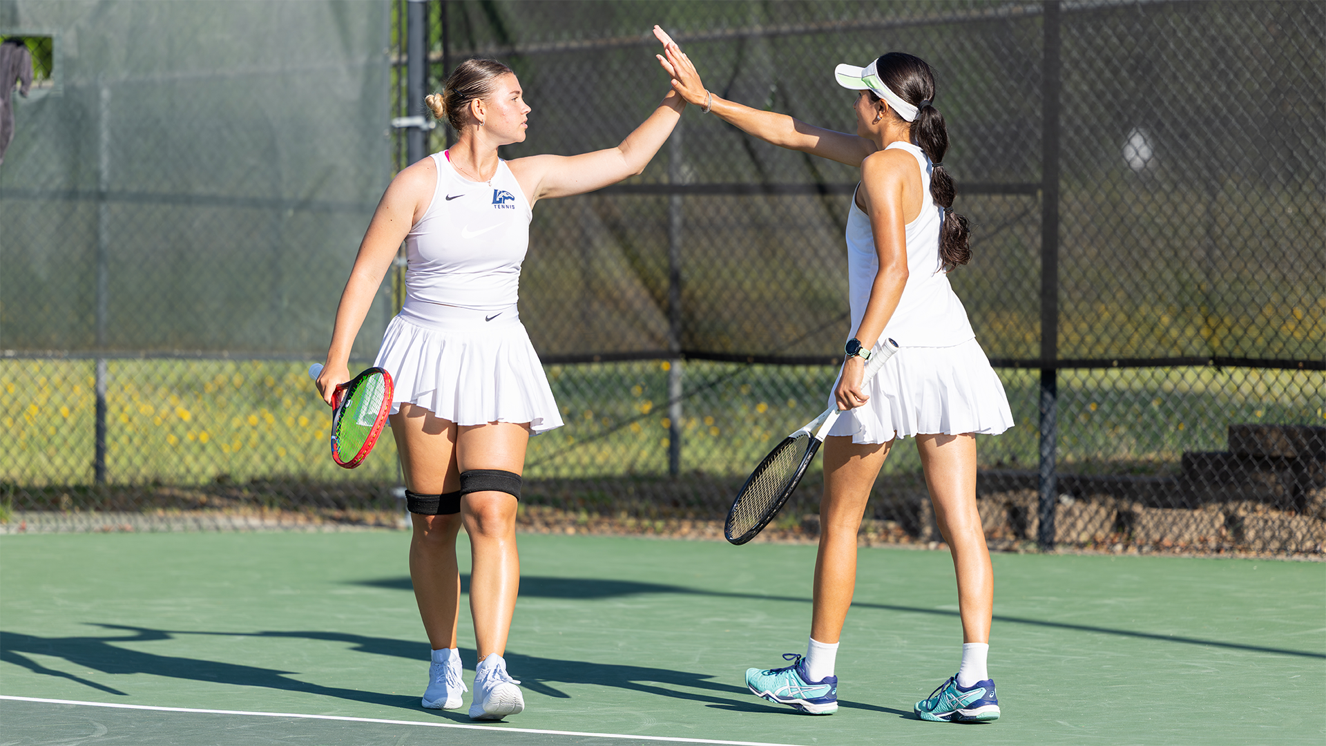 Gnilozubova, Fernando