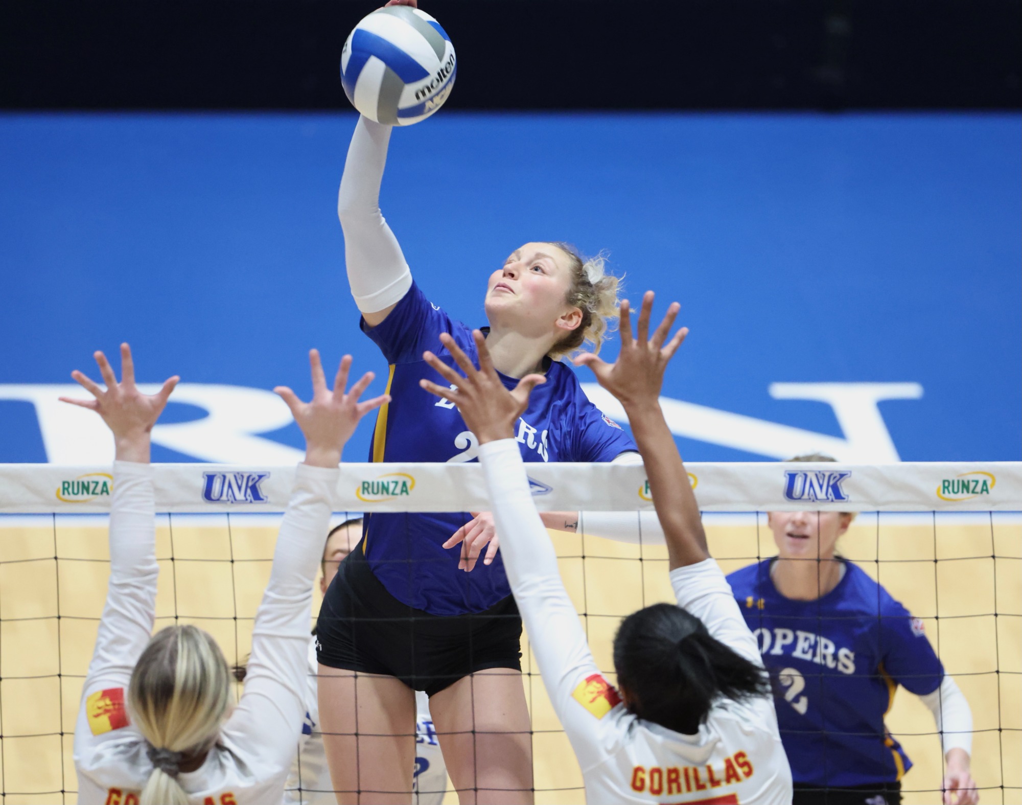 Senior Night Sweep University of Nebraska Kearney Athletics