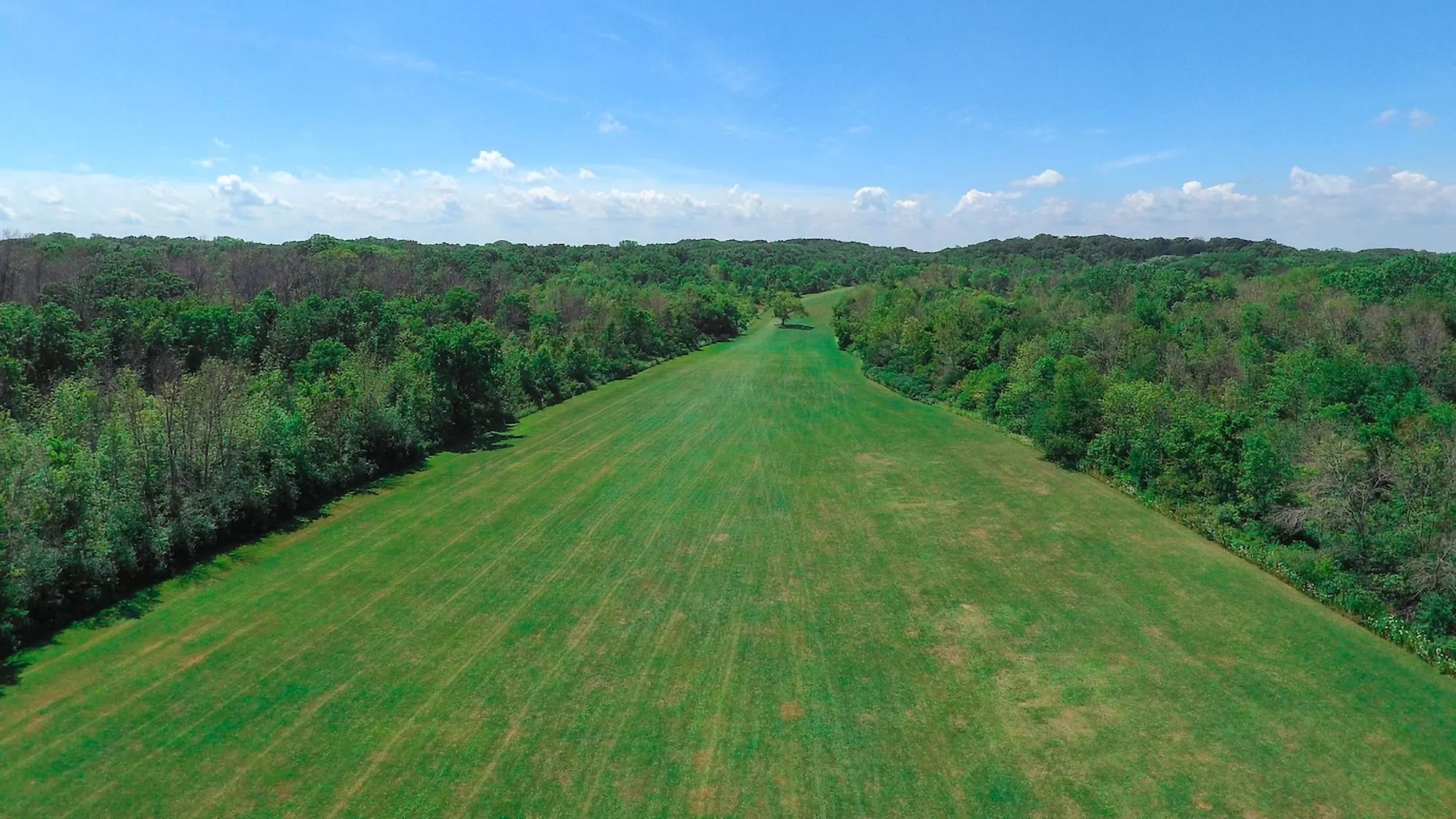 2025 NCAA D2 Cross Country Champ Course (UWP)