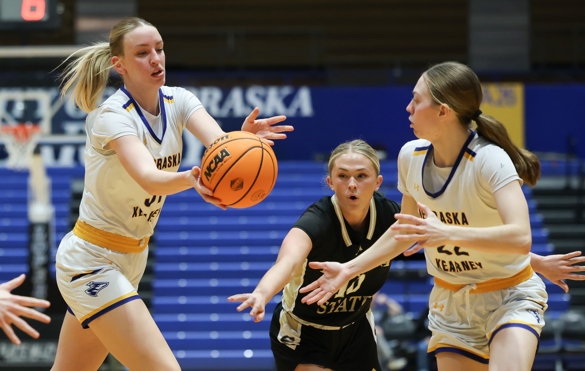 Tara Biocanin & Jill Aschoff