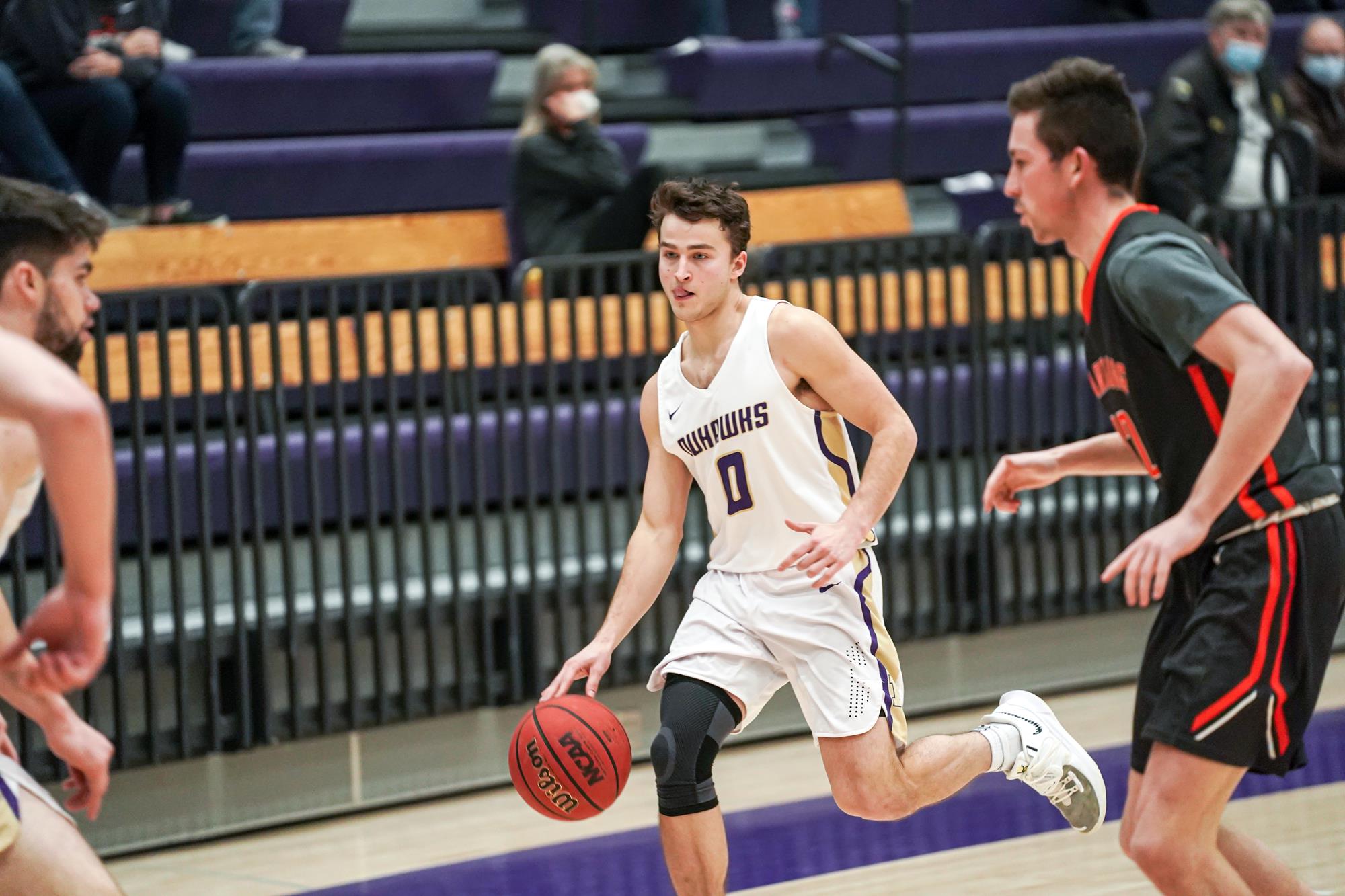 Jake Healy Men's Basketball Loras College Athletics