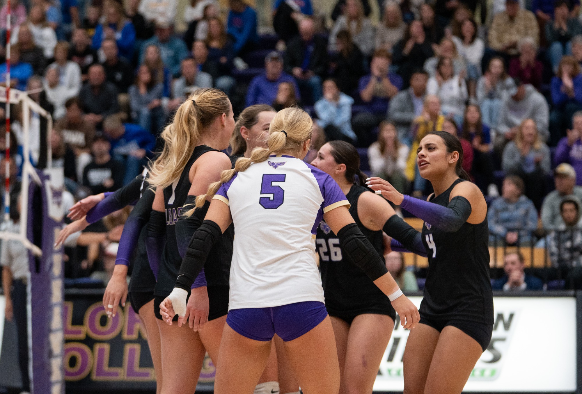 Team Celebration
