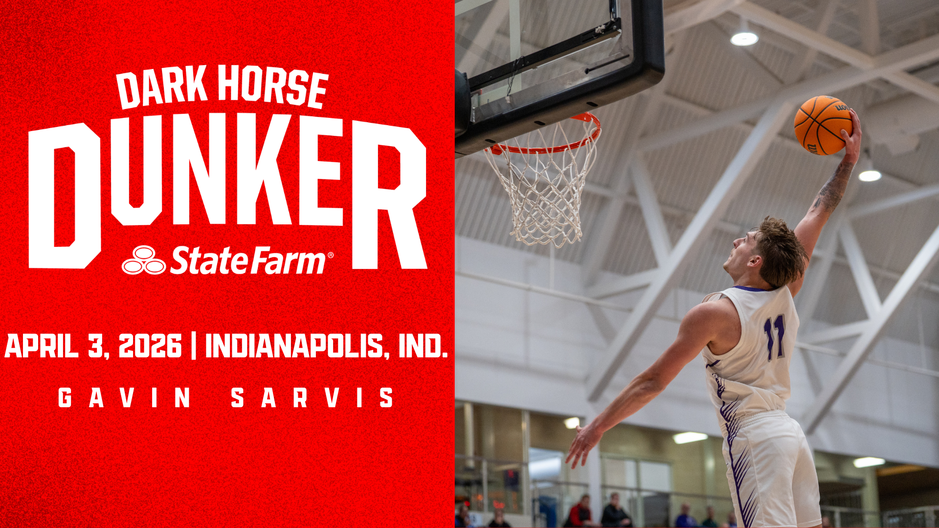 Gavin Sarvis - Dark Horse Dunker