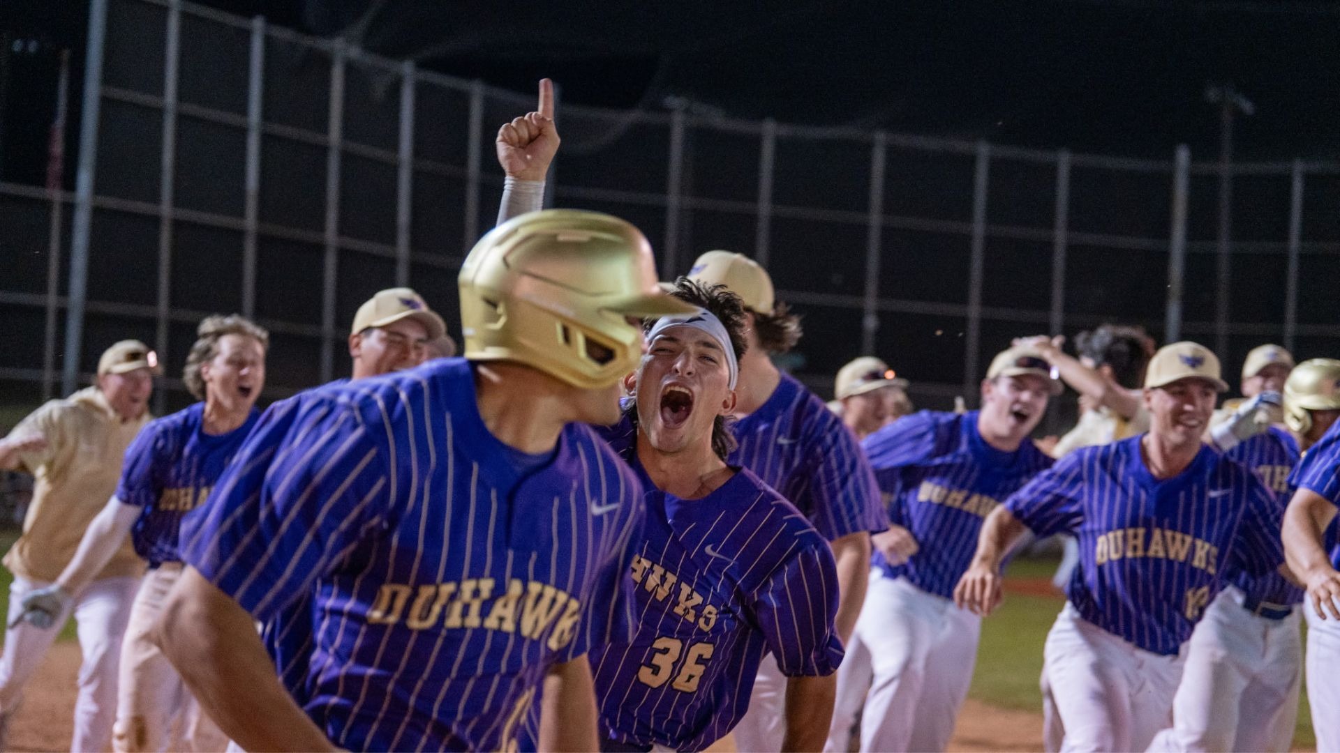 Baseball Celebration Photo