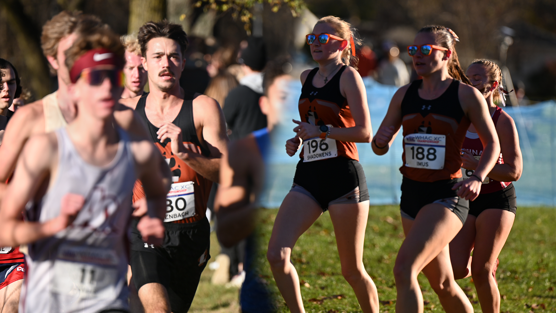 Cross Country at WHAC Championships