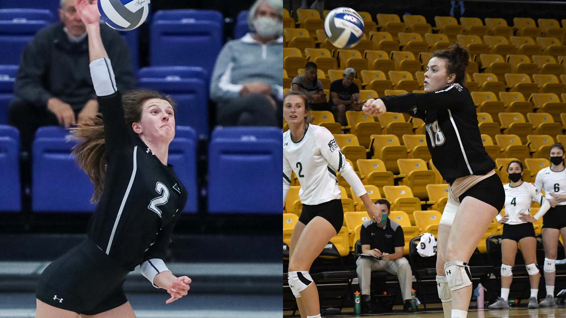 Hamilton Named Patriot League Volleyball ScholarAthlete of Year