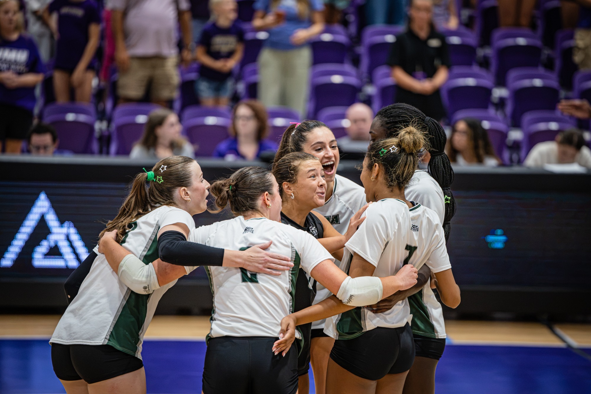The Greyhounds celebrate a point