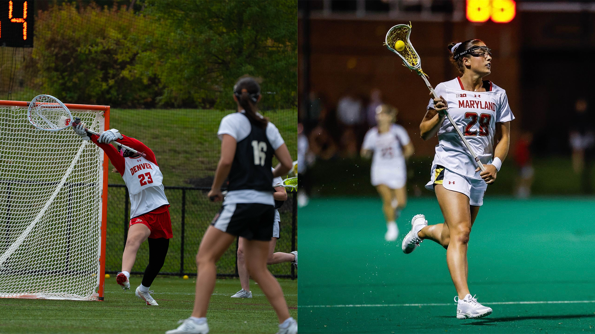 WLax Transfers