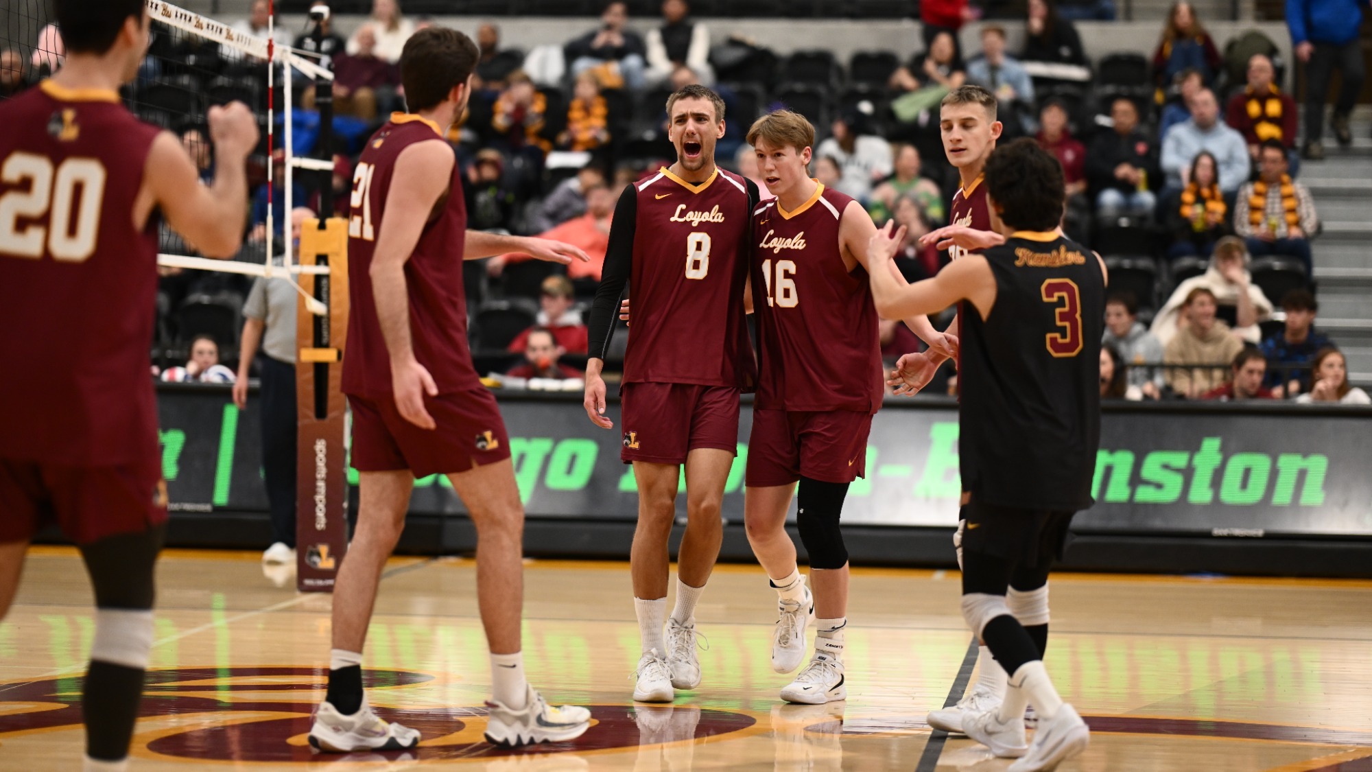 Aleksandar Sosa, Alex Smits Van Oyen Celly