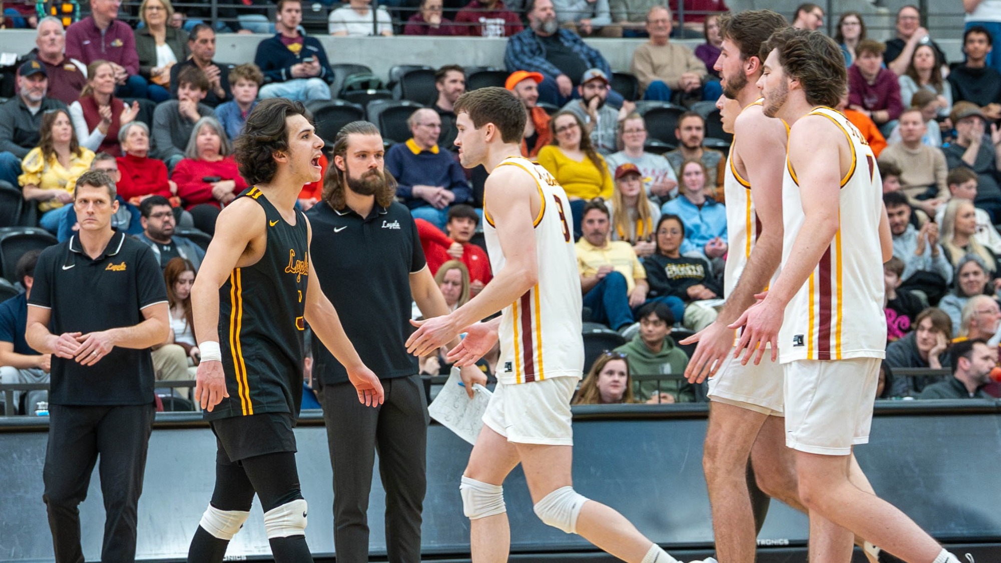 JJ Sowa, Ryan McElligott, Jake Read, Brad Bell